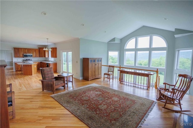 490 Hidden Falls Rd, Tully, NY 13159 - living room with vaulted ceiling and light wood-type flooring