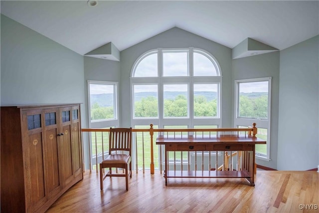 490 Hidden Falls Rd, Tully, NY 13159 - sitting room with light wood-style floors, lofted ceiling, and plenty of natural light