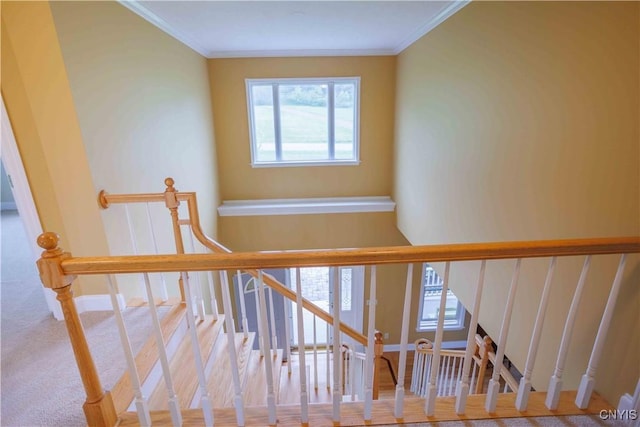 490 Hidden Falls Rd, Tully, NY 13159 - stairs featuring crown molding and baseboards