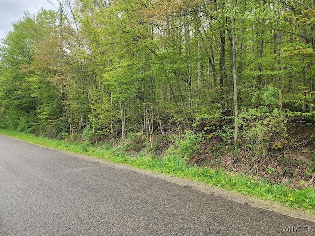 Utley Rd, East Otto, NY 14729