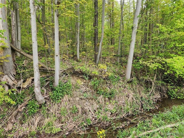 Utley Rd, East Otto, NY 14729