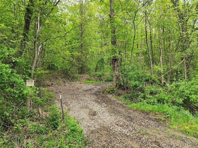 Utley Rd, East Otto, NY 14729
