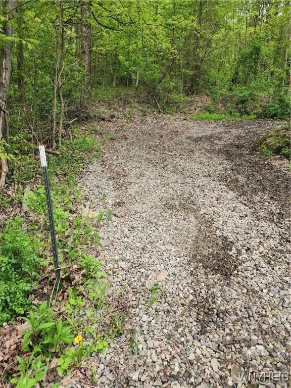 Utley Rd, East Otto, NY 14729