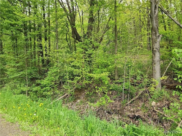 Utley Rd, East Otto, NY 14729