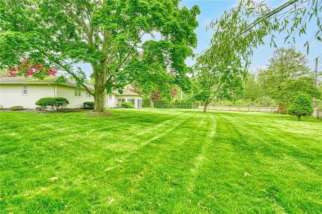 view of yard