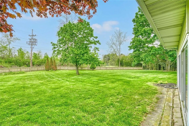 view of yard