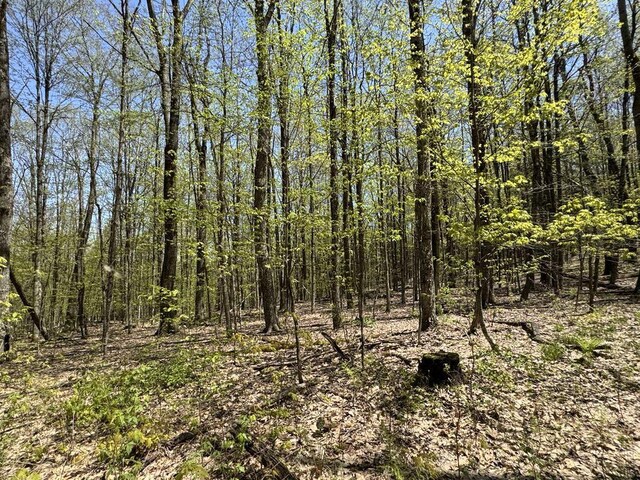 Barnum Rd, Middlefield, NY 13320