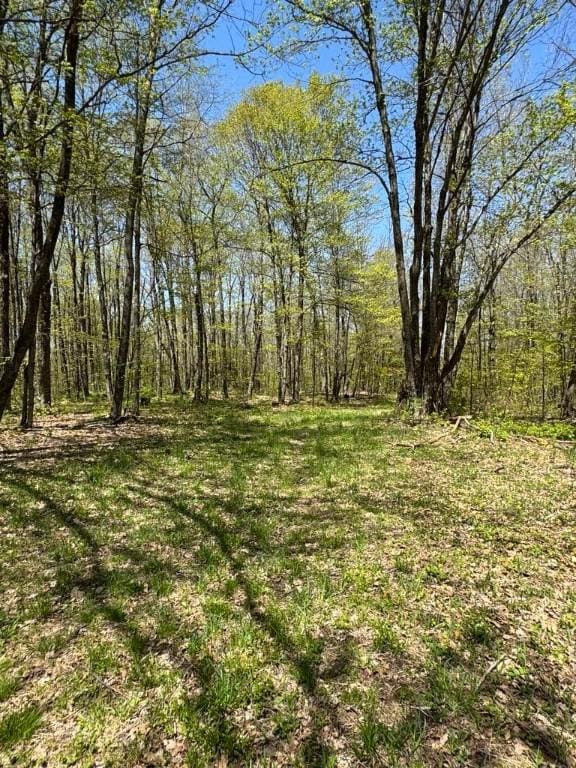Barnum Rd, Middlefield, NY 13320