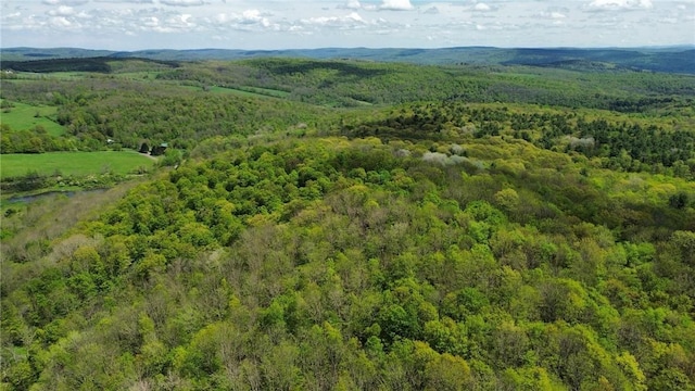 Barnum Rd, Middlefield, NY 13320