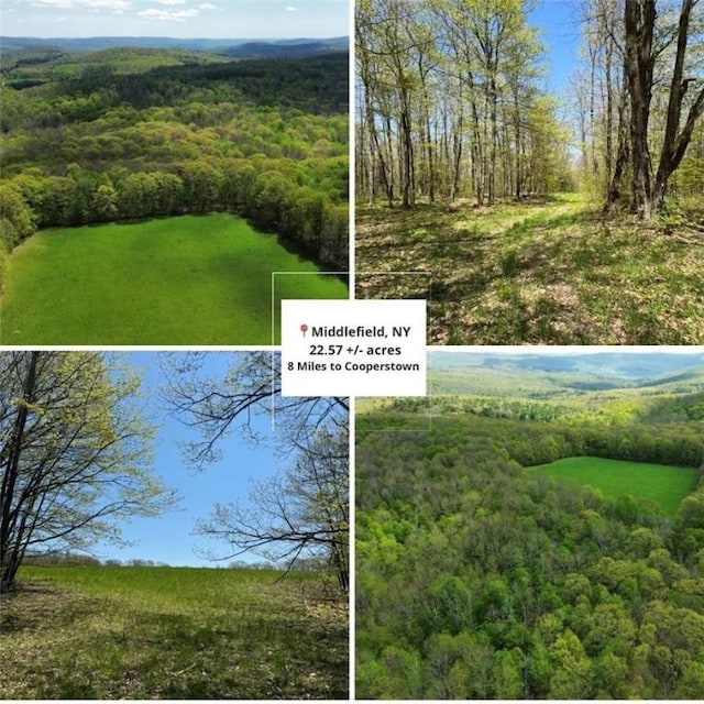 Barnum Rd, Middlefield, NY 13320