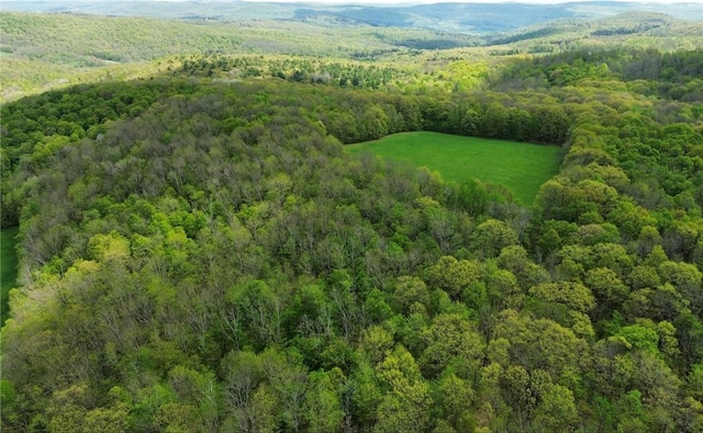 Barnum Rd, Middlefield, NY 13320