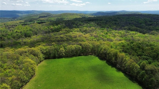 Barnum Rd, Middlefield, NY 13320