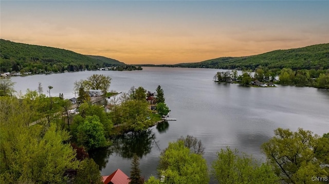 21 S Lake Rd, Deruyter, NY 13052 - water view with a heavily wooded area