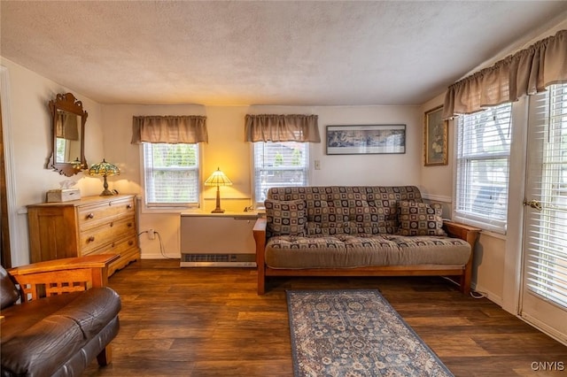 21 S Lake Rd, Deruyter, NY 13052 - living room featuring wood finished floors, a textured ceiling, and baseboards