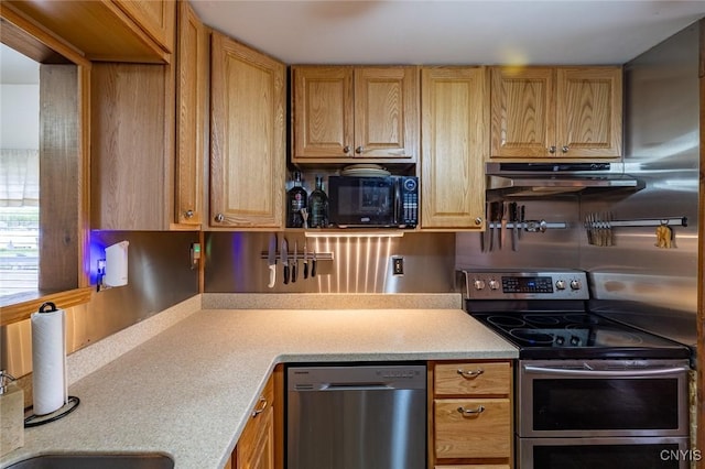 21 S Lake Rd, Deruyter, NY 13052 - kitchen featuring stainless steel appliances, under cabinet range hood, light countertops, and a sink