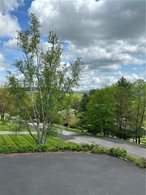22 Suncrest Ter, Oneonta-City, NY 13820 - view of community