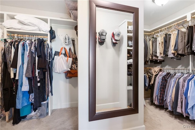 spacious closet featuring carpet