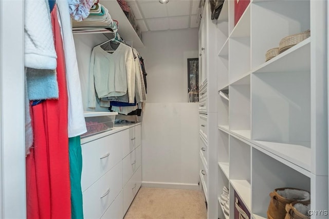 walk in closet with light colored carpet and a drop ceiling