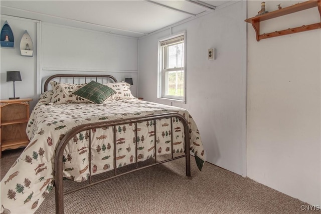 41279 Nelson Rd, Theresa, NY 13691