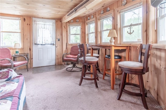 41279 Nelson Rd, Theresa, NY 13691
