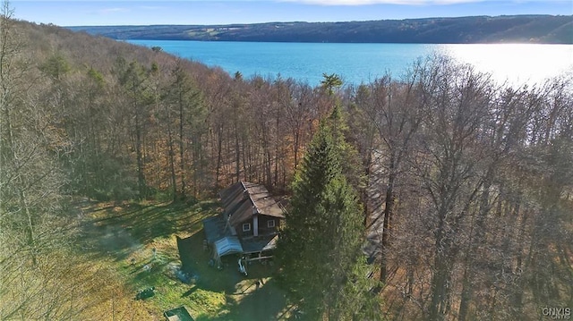 419 Glenwood Ln, Niles, NY 13021 - view of subject property with a large body of water and a heavily wooded area
