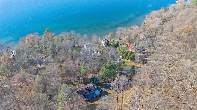 419 Glenwood Ln, Niles, NY 13021 - aerial overview of property's location with a nearby body of water