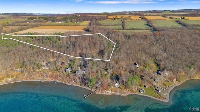 419 Glenwood Ln, Niles, NY 13021 - aerial view of property and surrounding area with property parcel outlined, a nearby body of water, and a heavily wooded area