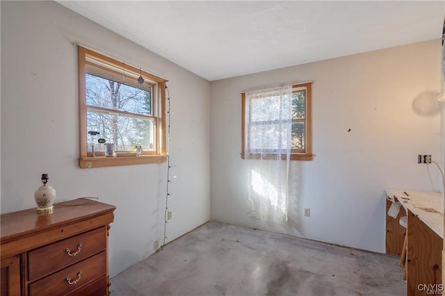 419 Glenwood Ln, Niles, NY 13021 - unfurnished bedroom with multiple windows