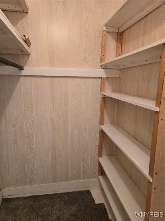 2282 Rte 305, Clarksville, NY 14727 - view of spacious closet