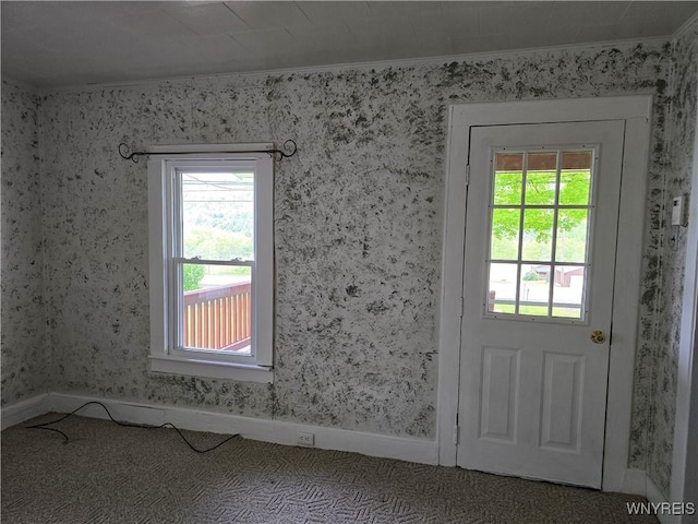2282 Rte 305, Clarksville, NY 14727 - entryway with ornamental molding, carpet, and baseboards