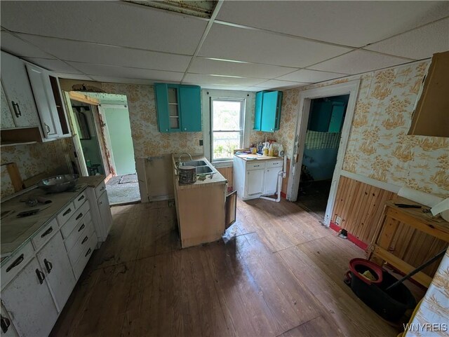 11 N Main St, Cohocton, NY 14826 - kitchen featuring wallpapered walls, a paneled ceiling, a sink, wainscoting, and hardwood / wood-style flooring
