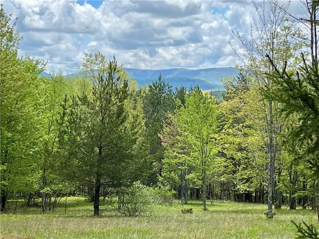 Crescent Hill Rd, Andes, NY 13731