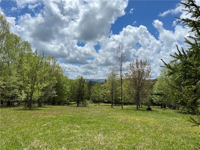 Crescent Hill Rd, Andes, NY 13731