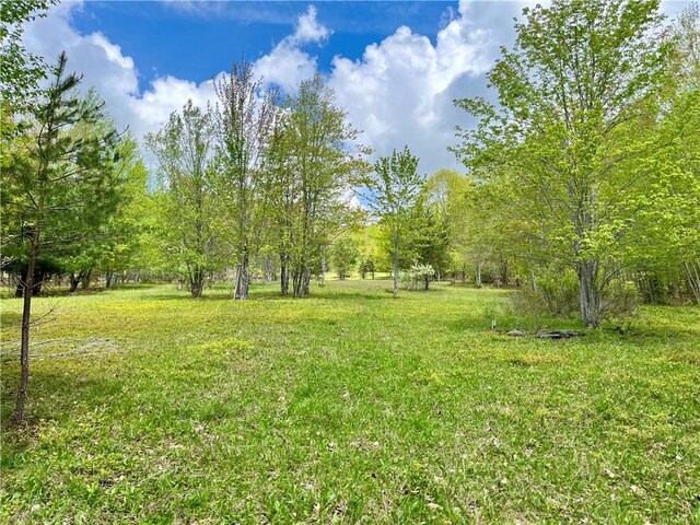 Crescent Hill Rd, Andes, NY 13731