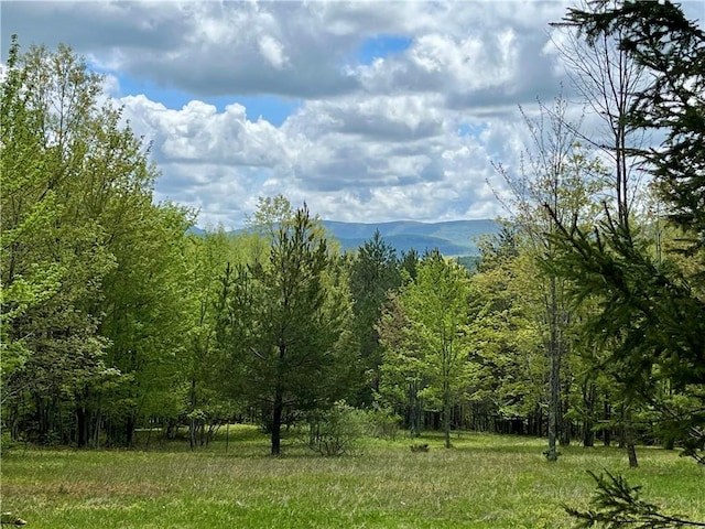 Crescent Hill Rd, Andes, NY 13731