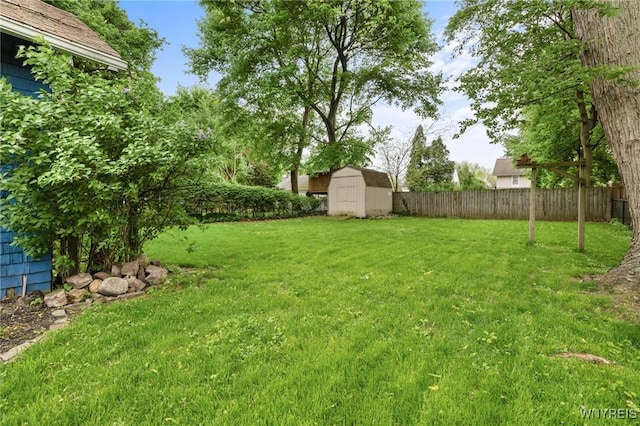 view of yard featuring a storage unit and an outbuilding
