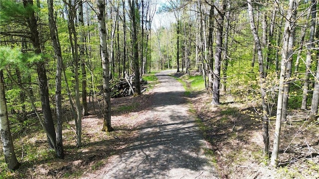 Tracy Rd, Coventry, NY 13730