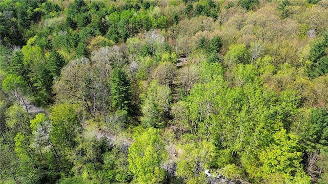 Tracy Rd, Coventry, NY 13730
