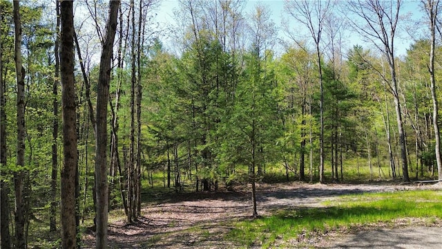 Tracy Rd, Coventry, NY 13730