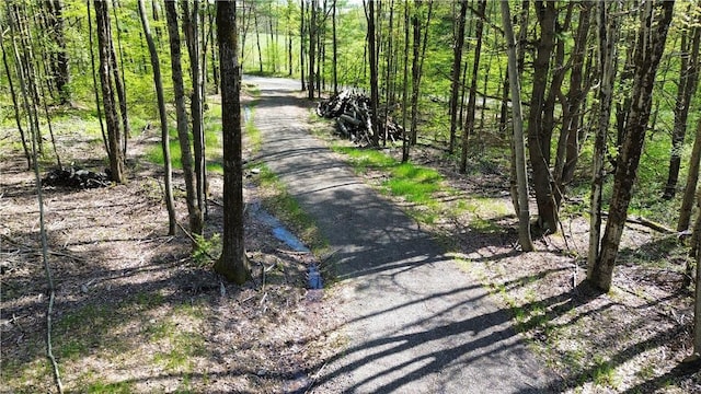 Tracy Rd, Coventry, NY 13730