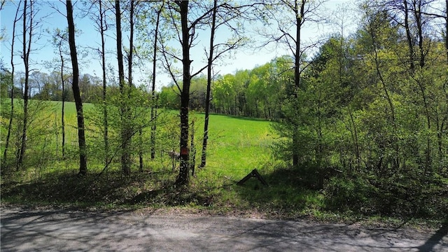 Tracy Rd, Coventry, NY 13730