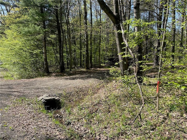 Tracy Rd, Coventry, NY 13730