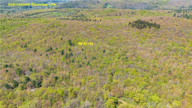 Sanly Rd, Franklin, NY 13839 - photo 1