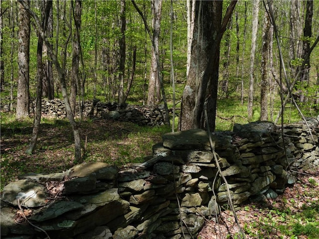 Sanly Rd, Franklin, NY 13839 - photo 2