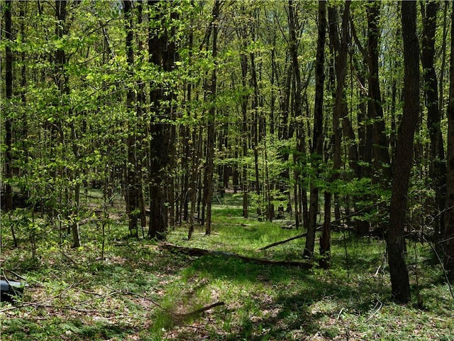 Sanly Rd, Franklin, NY 13839 - photo 7