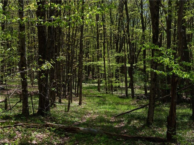 Sanly Rd, Franklin, NY 13839 - photo 9