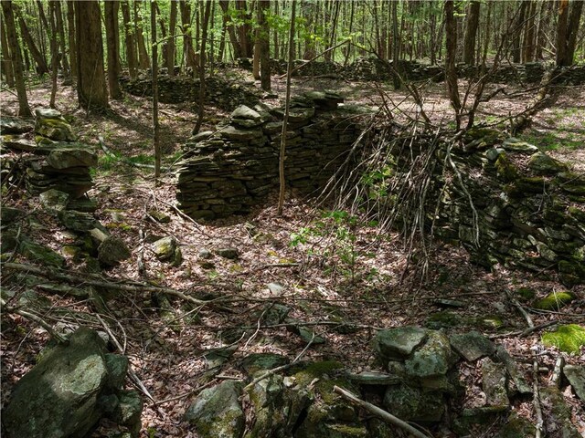 Sanly Rd, Franklin, NY 13839 - photo 11