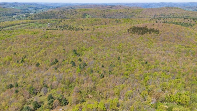 Sanly Rd, Franklin, NY 13839 - photo 13