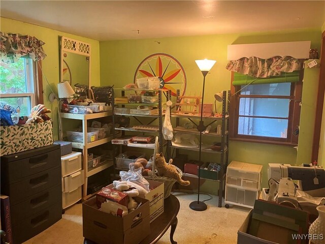 432 Sunset Dr, Hamburg, NY 14075 - photo 17