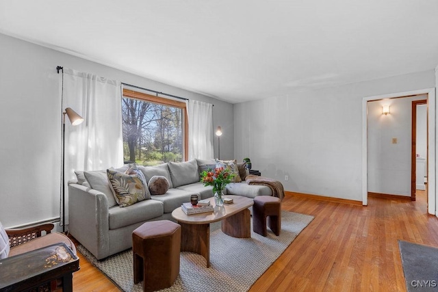 10 S Ten Eyck Ave, Cazenovia, NY 13035 - living room featuring light wood-type flooring and baseboards